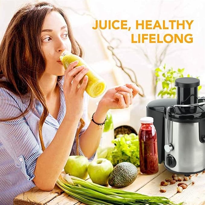 1000w Professional BlendersProfessional Blenders for KitchenSafe Chop Grind 2 Speed Blender for Puree Ice Crush Shakes Fruits Vegetables(US 110V)