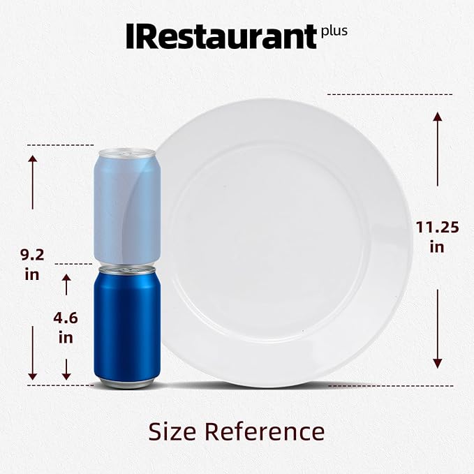 Stoneware Wide Rim Commercial Grade Dinnerware Bright white Dinner Plate 11.25 Case of 12