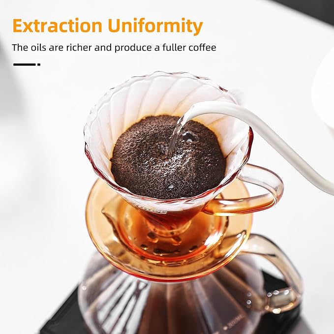 Bincoo Pour Over Coffee Maker Set650ML Borosilicate Glass Carafe with Coffee Driper&amp50pcs Paper FilterGlass Coffee Maker for Home Café Restaurant(Champagne)
