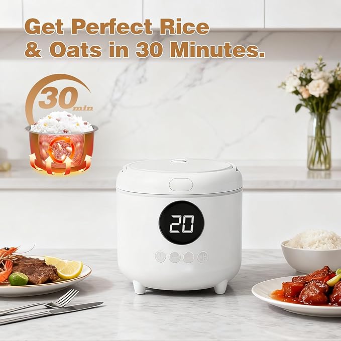 Mini Rice Cooker with timer 2-Cups Uncooked/4-Cups Cooked with Handle 6 Intelligent Cooking Modes for White Rice Quinoa Oatmeal - with Nonstick Inner Pot (White)