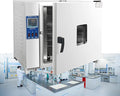 16L Vacuum Drying Oven Digital Display Constant Temperature Forced Air Convection Ideal for Electronic Components &amp Dried Seeds - Precision Drying Solution