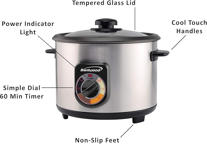 Brentwood TS-1020S 10-Cup Uncooked/20-Cup Cooked Crunchy Persian Rice Cooker Stainless Steel [TS-1020S]