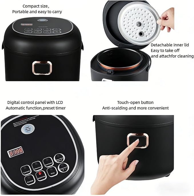 Mini Rice Cooker 2L Electric Lunch Box Food Heater 12V/24V Portable Non-Stick Travel For Car Truck Small Rice Cooker with Steam Tray Cooking Heating and Keeping Warm Function(Black)