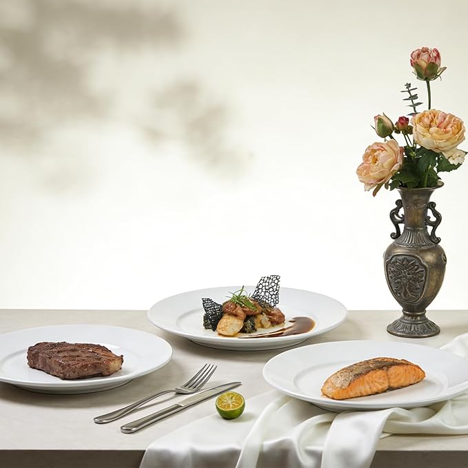 Stoneware Wide Rim Commercial Grade Dinnerware Bright white Plate 12 Case of 12