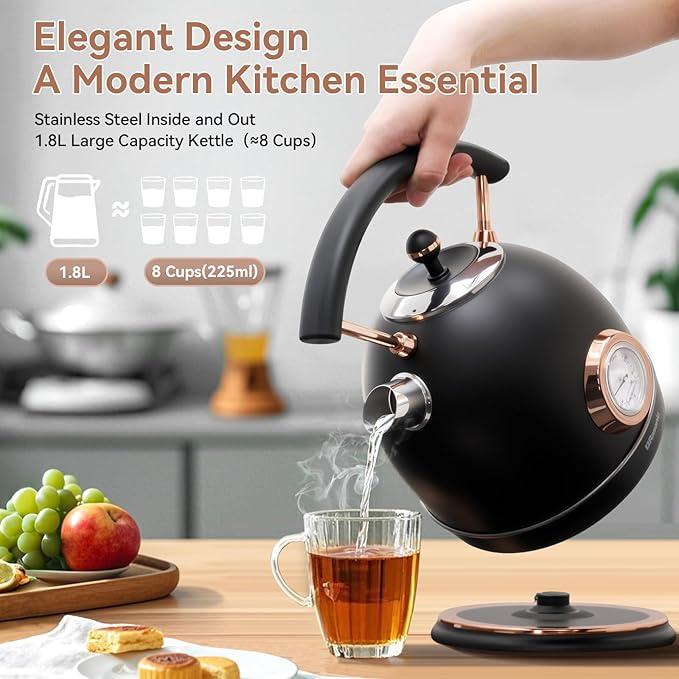 Rasonic Retro Electric Kettle Stainless Steel 1.8L Tea Water Boiler 1500W Fast Quiet Boil Temperature Gauge Auto Shut-Off Boil-Dry Protection Matt Black and Rose Gold