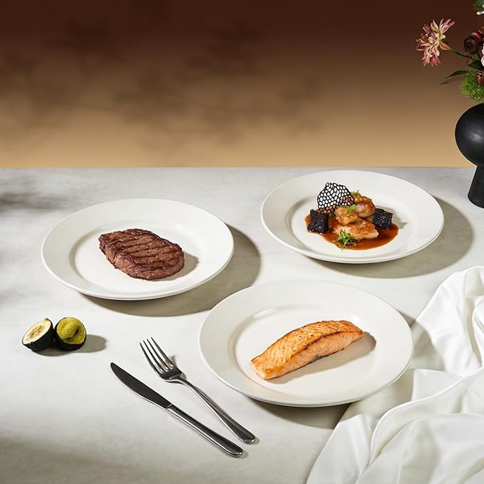 Stoneware Wide Rim Commercial Grade Dinnerware America White Plate 9 Case of 24