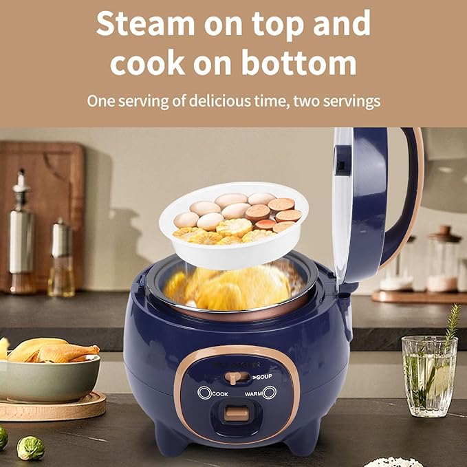 Haofy Mini Rice Cooker 5 Cup Capacity Nonstick Inner Pot with Steam Rack for Cooking Small Compact Design for Dorms Apartments (US Plug 110V)