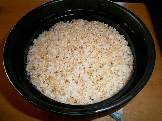 Nishinihon Pottery Rice Pot Black 43.3 fl oz (1100 ml) Arita Ware Hitsu Rice