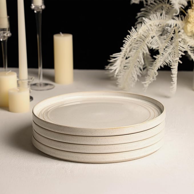 Stone Lain Claire 4-Piece Dinner Plate Set Stoneware Plates Dishwasher and Microwave Safe Dish Set for 4 White