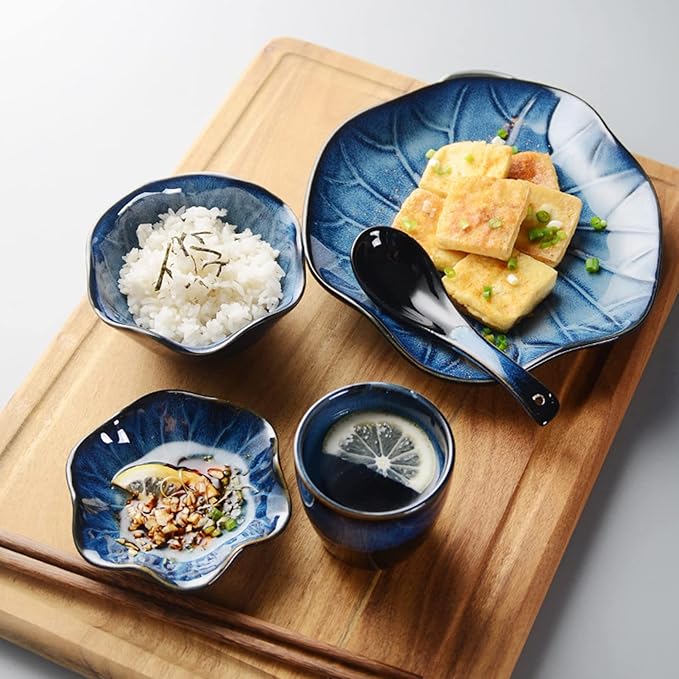 Dinnerware Set Service for 4 20-Piece Porcelain Dinnerware Sets Tableware Kitchen Dinner Set - Plates and Bowls Sets for 4 Reactive Glaze