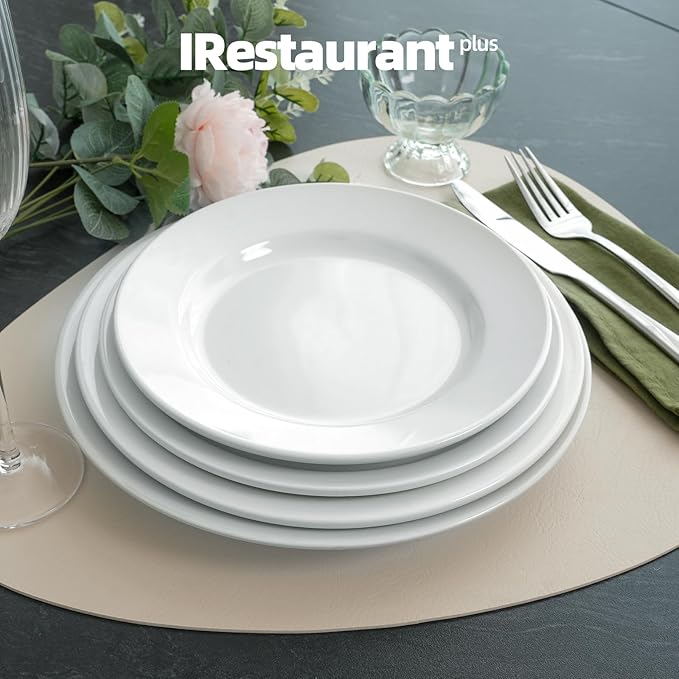 Stoneware Wide Rim Commercial Grade Dinnerware Bright white Salad Plate 8.25 Case of 24