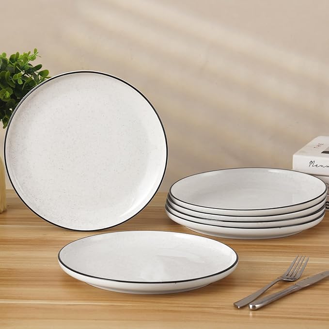 Ceramic White Dinner Plates Set of 6 10.5 Inch Plates for Kitchen Microwave Oven and Dishwasher Safe Modern Dishes Set for PastaSteak Dessert Salad