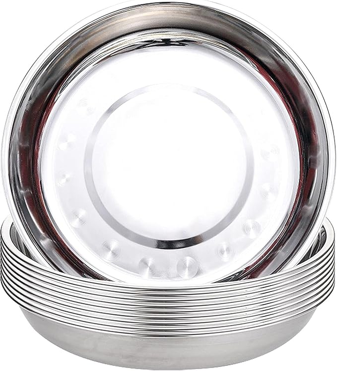 For 10 Pack Stainless Steel round 9 Inch Dinner Metal Dinnerware Set R