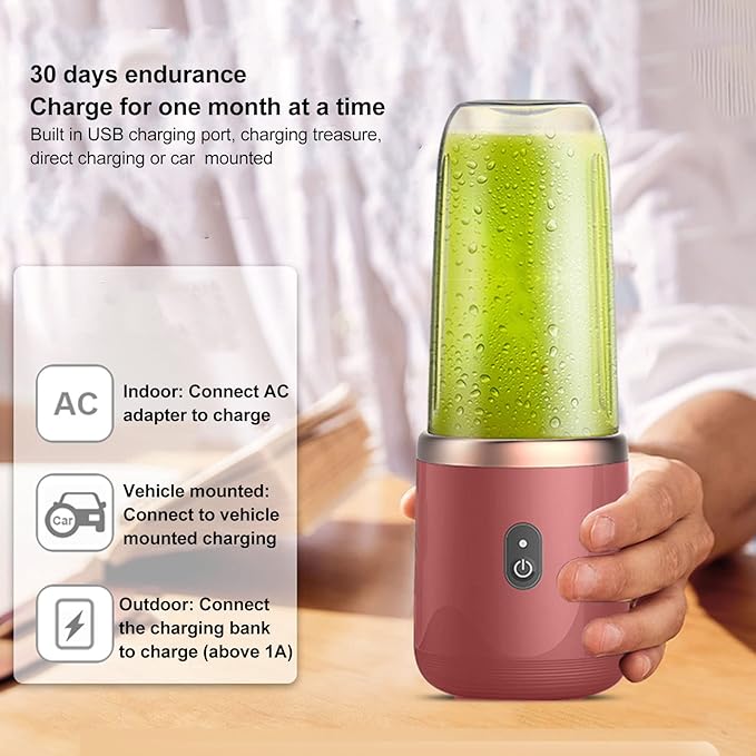 Pilipane 1200mAh USB Rechargeable Portable Blender Pink with 6 Blades 300ml Capacity