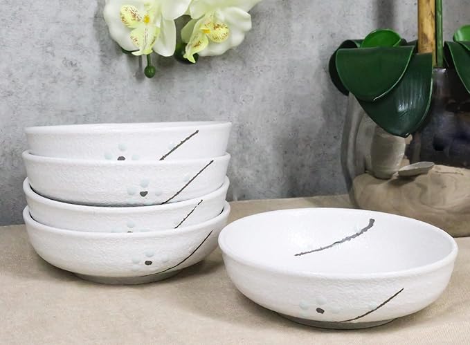 Ebros Gift Modern Yukino Hana Snow Flowers Ceramic Dinnerware Serveware Kitchenware Set Oriental Asian Restaurant Supply (Pack Of 5 Soup Salad Rice Shallow Bowls Deep Plates 10oz)