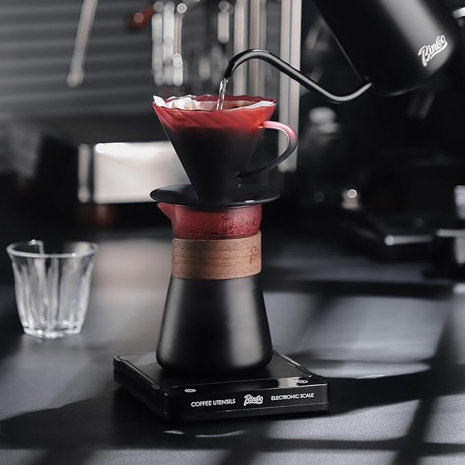 Bincoo Coffee Dripper V01Resuable Pour Over Coffee Maker With Handle-Single Coffee Filter Cone Drip Holder Slow Brewing Accessories for Home Cafe Restaurants (Blackberries)