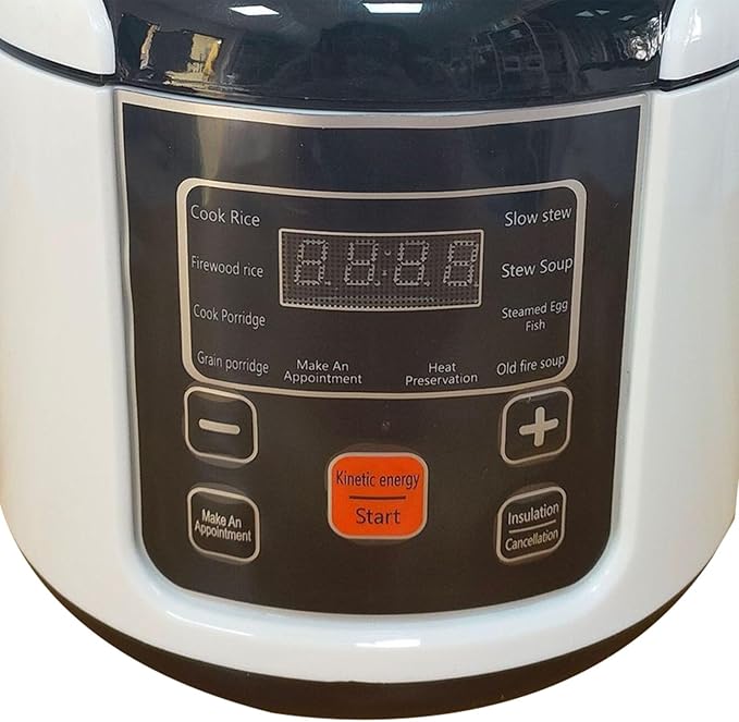 AUNMAS Mini Rice Cooker 2L Small Electric Travel Steamer with Steam Tray Keep Warm Function Portable for Car Truck Home (12V)