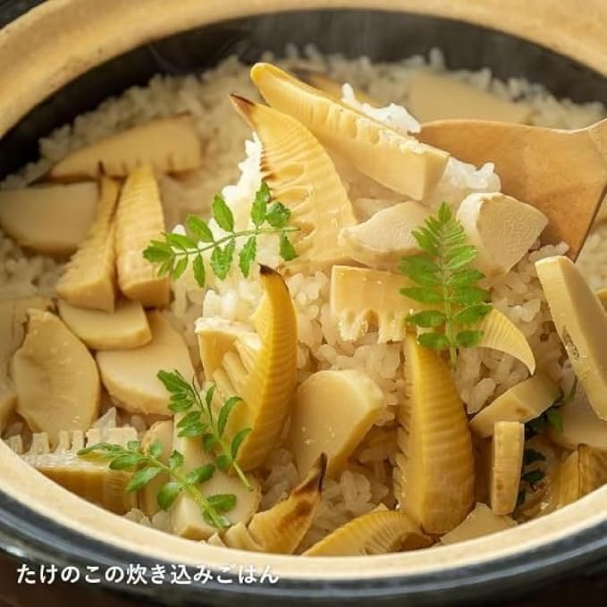 Nagatani Seitou ACT-01 Hase-en Kamado-san Earthenware Pot for Rice 3 Cuisines Made in Japan (With Rice Spoon Recipe) Diameter 9.4 x Height 7.1 inches (24 x 18 cm) Heat Retention Prevents Spills