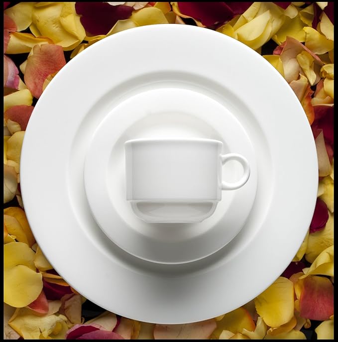 Fortessa Fortaluxe SuperWhite Vitrified China Dinnerware Cassia 16-Piece Place Setting Service for 4