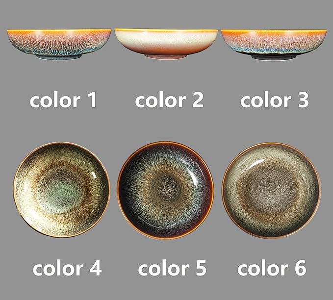 Large Pasta Bowls 56 Oz soup bowl soup plate Set of 2 Serving Salad Dinner deep Plate/Wide Bowl Microwave Oven Dishwasher Safe Kitchen Dinnerware Modern Porcelain Dishes 10 inch