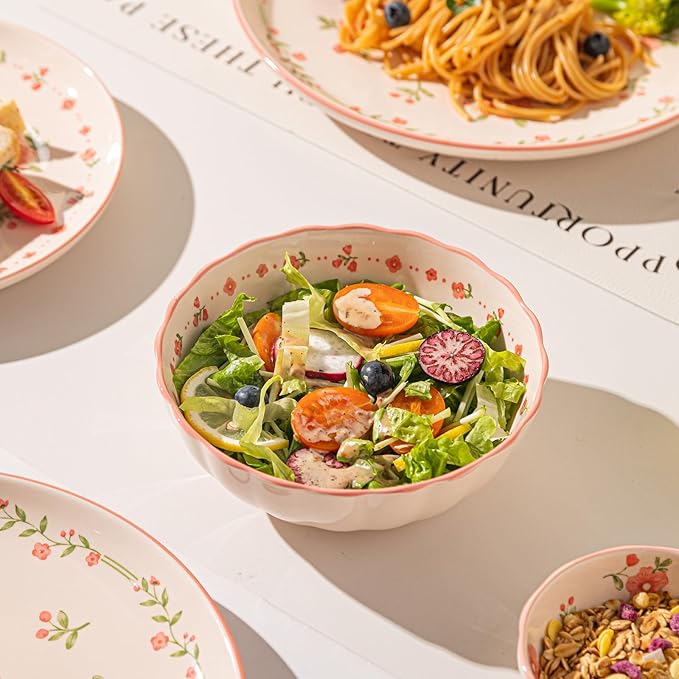 24 Pieces Gourmet Porcelain Dinnerware Sets Premium Plates and Bowls Set High-Fired Ceramic Dishes Set for 6 Microwave Dishwasher Safe Pink Peach Blossom Pattern.