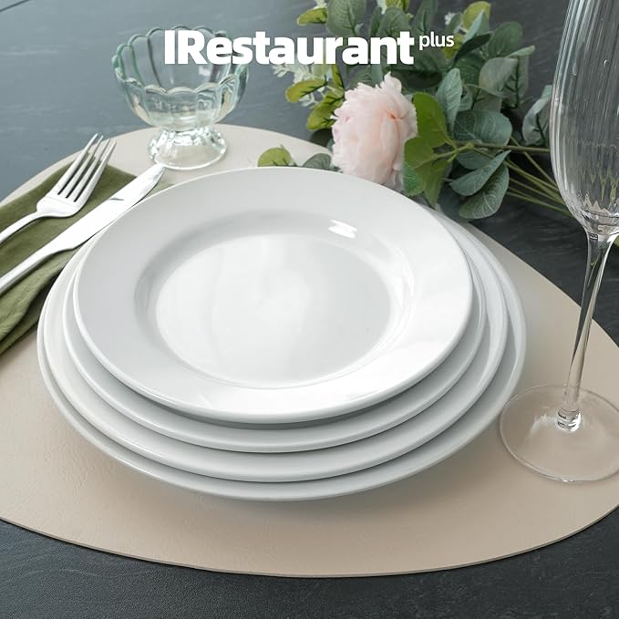 Stoneware Wide Rim Commercial Grade Dinnerware Bright white Dinner Plate 10.5 Case of 12