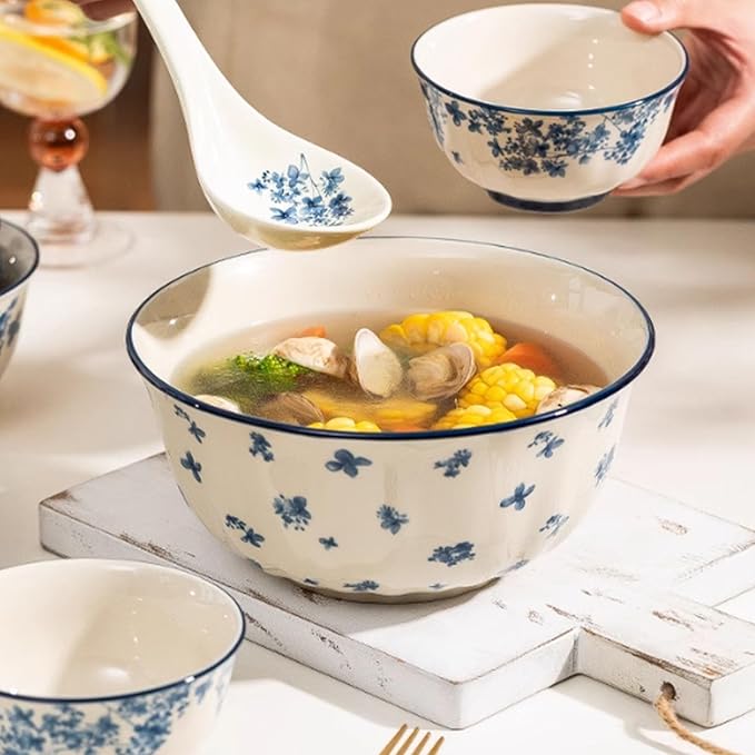 10 Pieces Dinnerware Sets Simple Elegant Plates and Bowls Sets Dinner Set for 2 Oven &amp Dishwasher &amp Microwave Safe Easy to Clean Non-slip Bottom High Temperature Firing Healthy and Colo