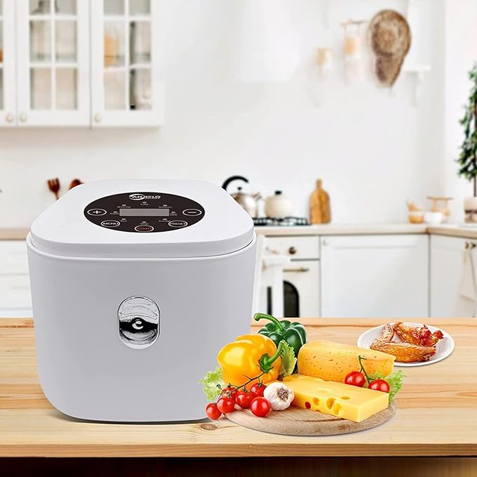 2 Liters Rice Cooker Stainless Steel Liner Rice Cooker and Steamer-Warm Function Supports Preset and Keep Warming to Make Rice Soup Baby Porridge Cake Multigrains Porridge