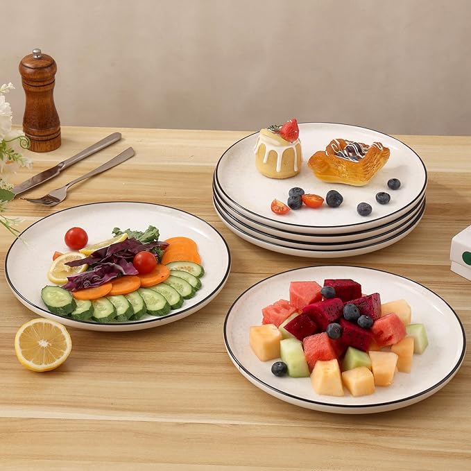 Ceramic White Dinner Plates Set of 6 10.5 Inch Plates for Kitchen Microwave Oven and Dishwasher Safe Modern Dishes Set for PastaSteak Dessert Salad