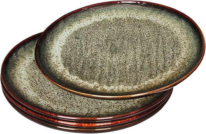 Ceramic Dinner Plates Dish SetSet of 4for Lunch snacks -Microwave Oven &amp Dishwasher SafeScratch ResistantDinnerware Kitchen Porcelain Serving Dishes 10 Inch Round