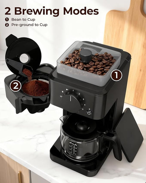 10 Cup Coffee Maker with Grinder Built in Automatic Grind and Brew Coffee Machine with Glass carafe Reusable Filter Auto shut off Warming plate for Home Offices or Large Families Black
