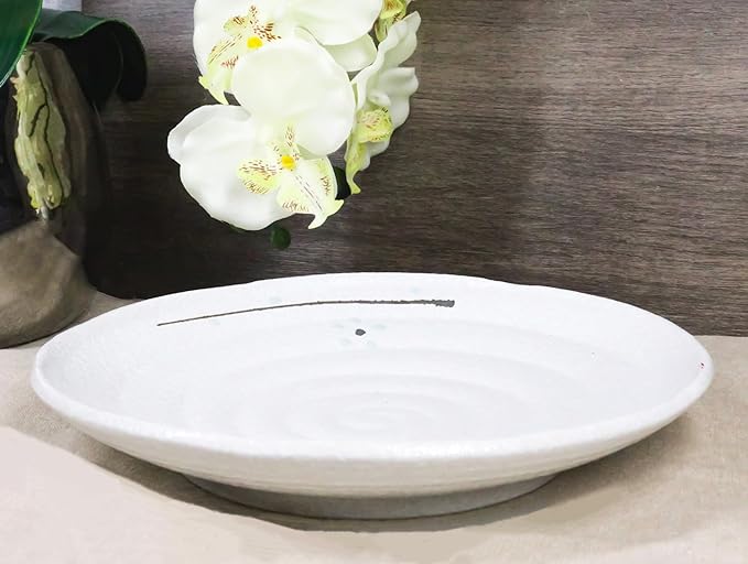 Ebros Gift Modern Yukino Hana Snow Flowers Ceramic Dinnerware Serveware Kitchenware Set Oriental Asian Restaurant Supply (Pack Of 5 Round Dinner Plates 8.75D)