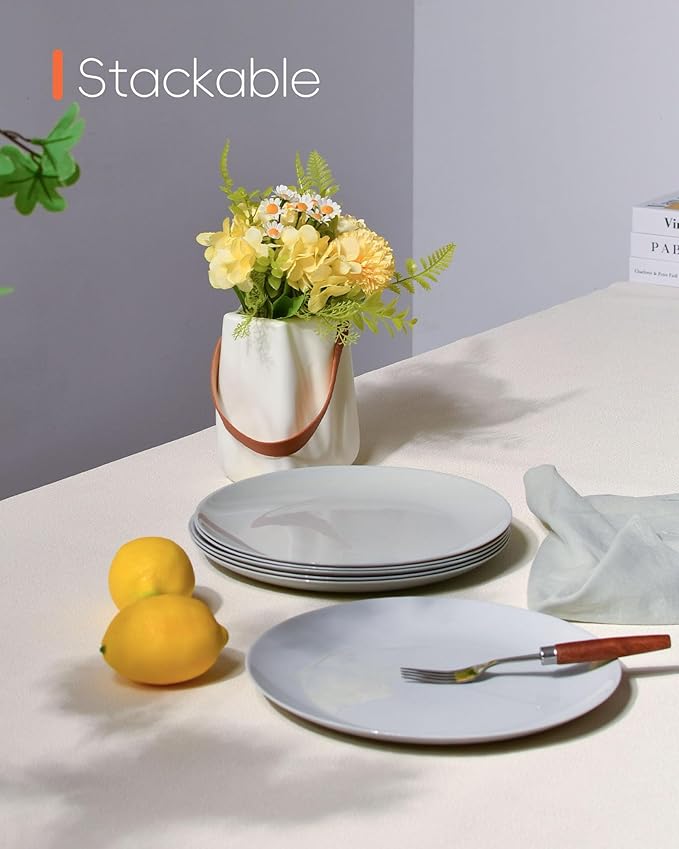 10.5 inch LaGlint Dinner Plate Set of 6 Lightweight Round Opal Glass Grey Dinnerware Plates Dishwasher and Microwave Safe