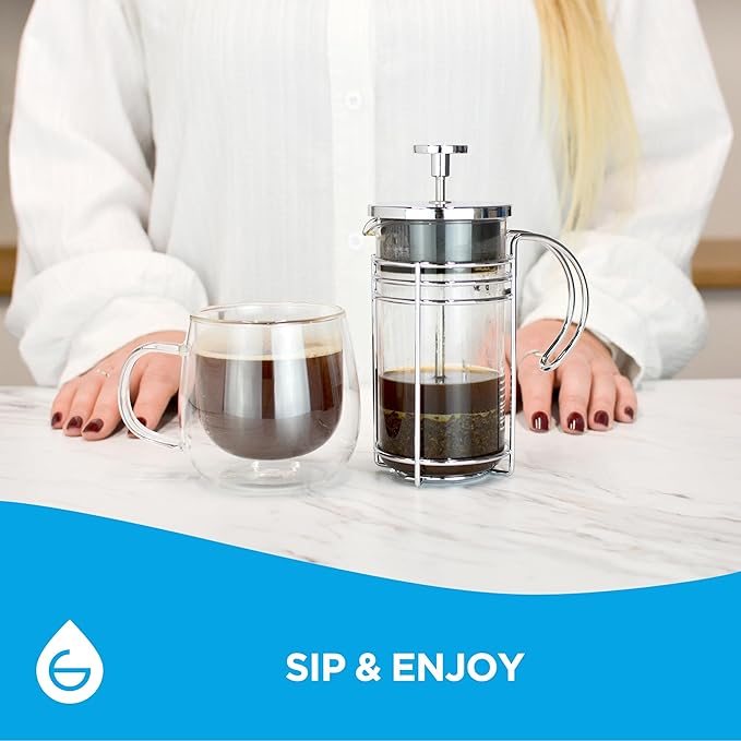 GROSCHE MADRID French Press - Premium Coffee and Tea Maker - 0.35L - 11.8oz - Borosilicate Glass Beaker - Dual Filter System For Rich Brew - Versatile Brewing | Stainless Steel Filter