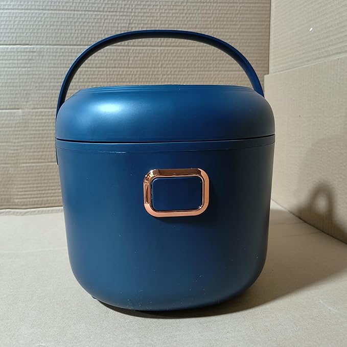 Car Rice Cooker 12V/24V/110V/220V Electric Rice Cooker 2-5 People 24 Hours Intelligent Reservation 8 Cooking Modes Non Stick Inner Pot