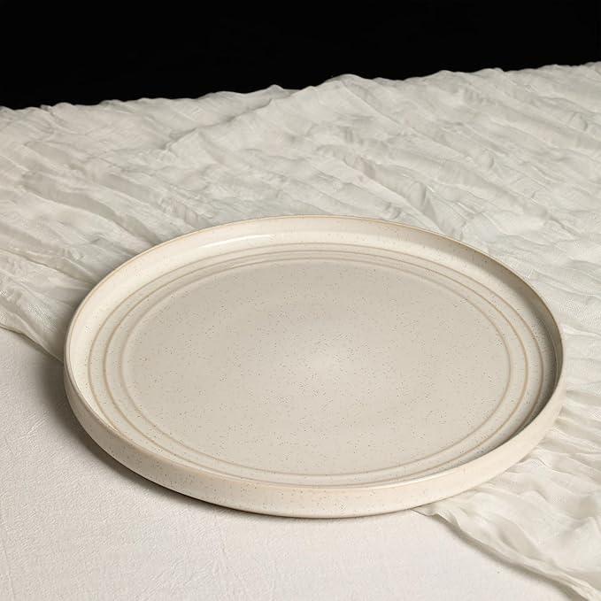 Stone Lain Claire 4-Piece Dinner Plate Set Stoneware Plates Dishwasher and Microwave Safe Dish Set for 4 White