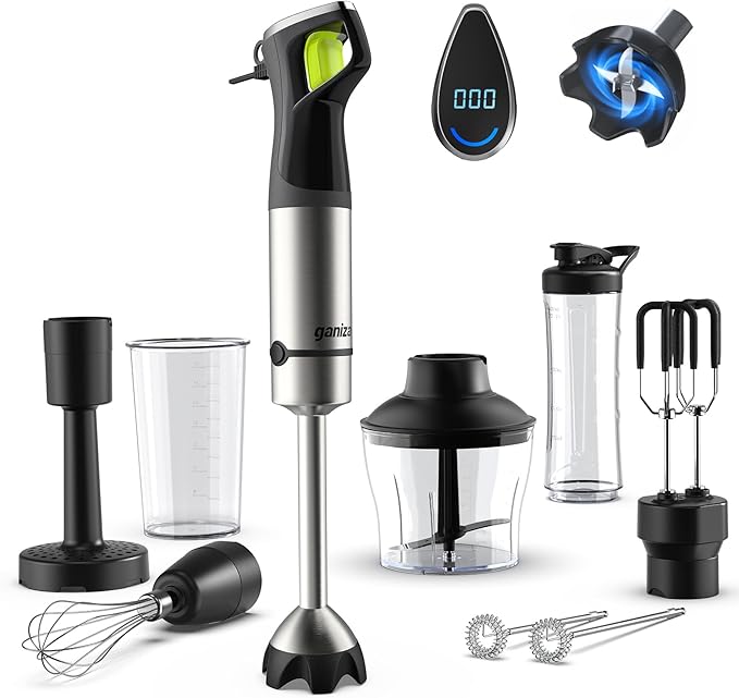 Ganiza GB08 Smoothie Blender and WH10 Hand Blneder