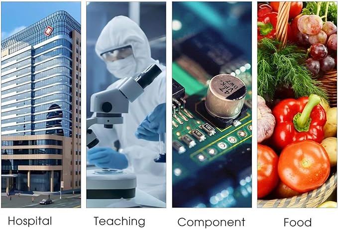 Electric Heating Constant Temperature Blast Drying Oven Laboratory Test High Temperature Small Oven Oven Industrial Dryer 300 Degree CThermostat Control and Led Display16L