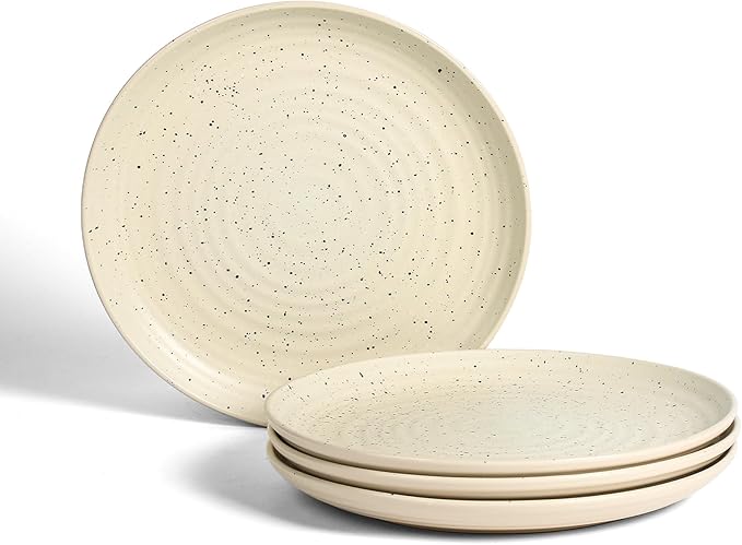Stone Lain Dua 4-Piece Dinner Plate Set Stoneware White