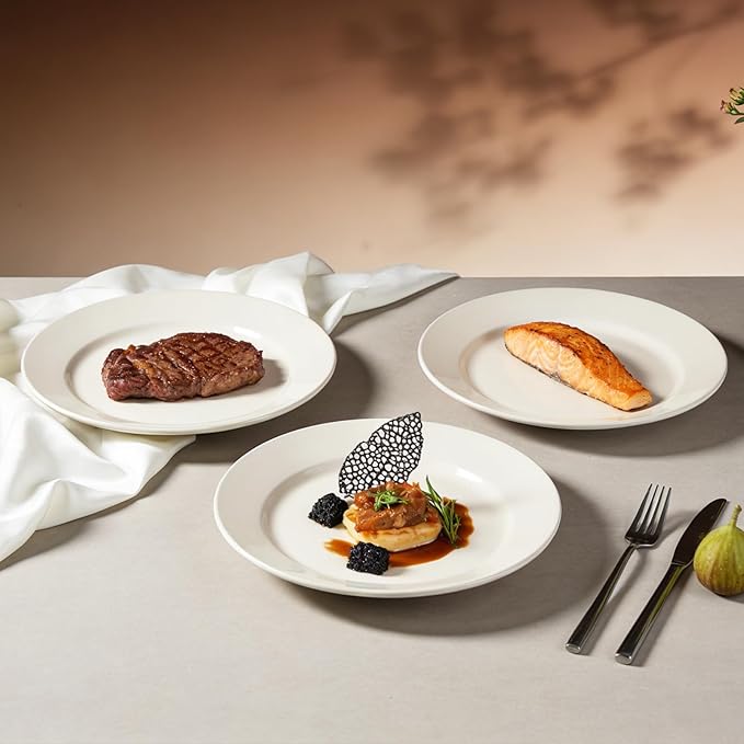Stoneware Wide Rim Commercial Grade Dinnerware America White Plate 9 5/8 Case of 24
