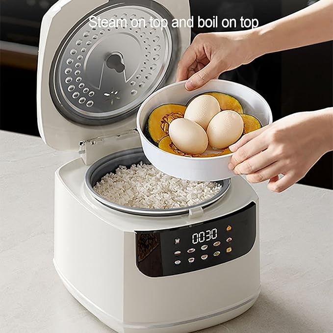 Mini Rice Cooker 2L Smart Electric Rice Pot 1-2 People 10 Menu Settings 24 Hours Reservation and Keep Warm Function Touchscreen Timer 400W for Home or Office