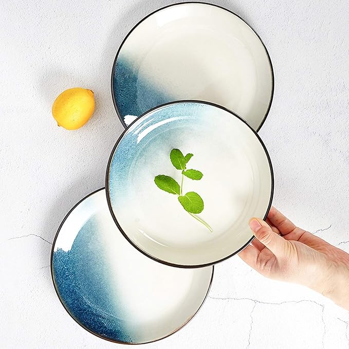 Dinner Plates Dishes Dinnerware Set -28 Piece Ceramic Plates and Bowls Set for 6Elegant Dinner Plate Sets