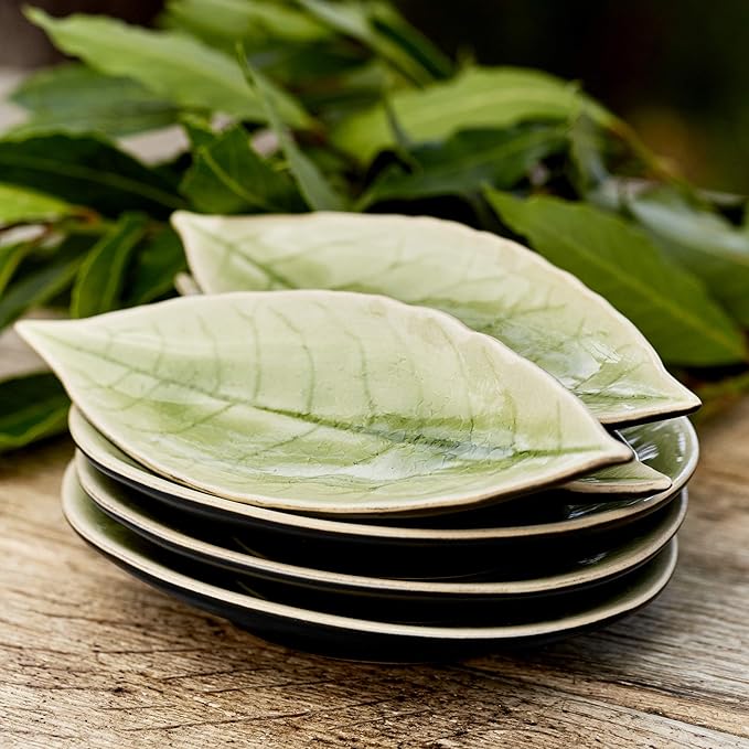Costa Nova Riviera Collection Elegant Dinnerware Set Stoneware Laurel Leaf French Green (Light Green) 18 cm 6 Pieces