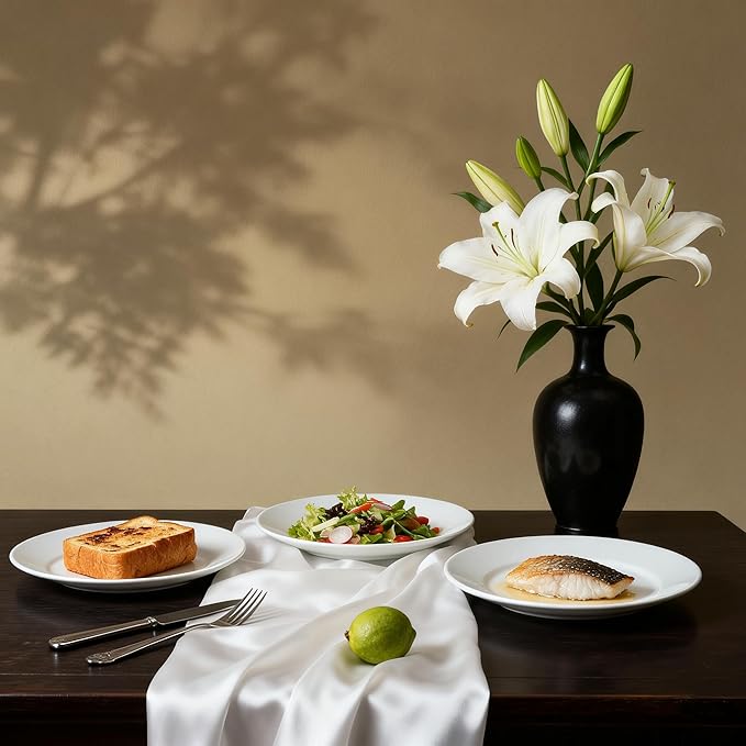 Stoneware Wide Rim Commercial Grade Dinnerware Bright white Dinner Plate 10.5 Case of 12