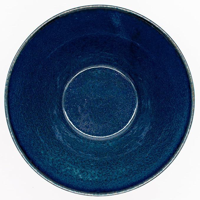 Aito Aito Seisakusho Natural Color Dinnerware Set Dishwasher-Safe Microwave Safe Ramen Donburi Large Diameter Approximately 6.7 x Depth 3.7 inches (17 x 9.4 cm) Mino Ware Stylish Bowl Plate