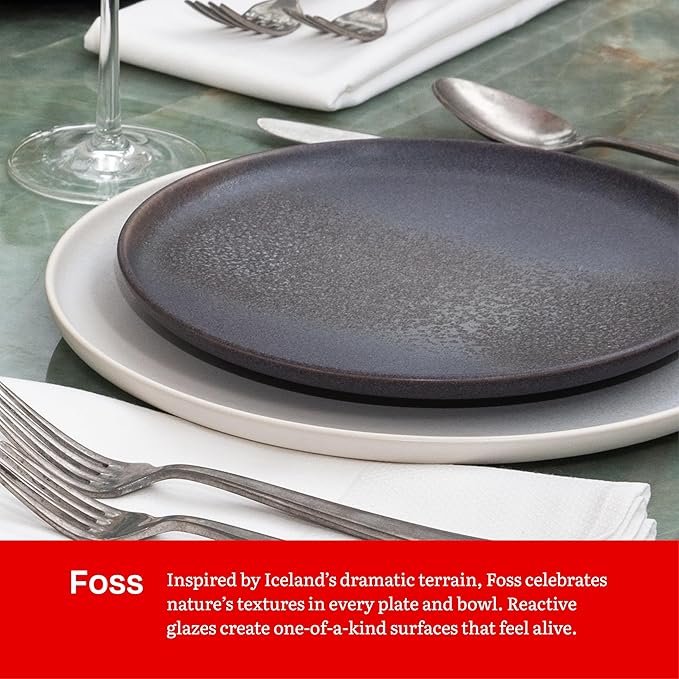 Eater x Zwiesel Fortessa Foss Stoneware 12 Piece Dinnerware Set (Service for 4) Volcanic Gray