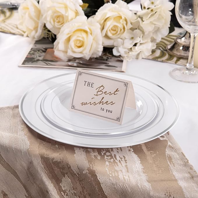 I00000 102pcs Silver Plastic Plates Disposable Plastic Party Plates with White Silver Rim Fancy Wedding Party Plates Include 51 Dinner Plates 10.25 and 51 Dessert Appetizer Plates 7.5