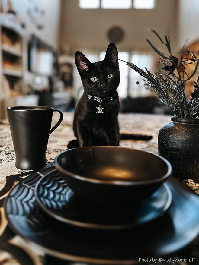 Spiderweb Dinnerware Set of 16 + Butter Dish Set - Gothic Kitchen Decor - Black Matte Porcelain with: 4 Dinner Plates 4 Salad Plates 4 Bowls 4 Mugs 1 Butter dish with Lid - Halloween Gifts