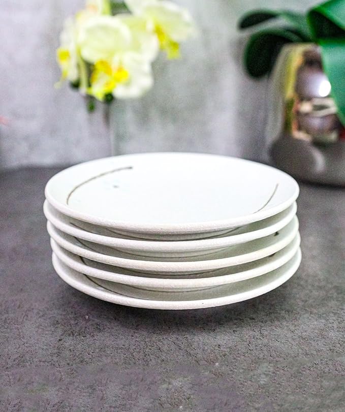 Ebros Gift Modern Yukino Hana Snow Flowers Ceramic Dinnerware Serveware Kitchenware Set Oriental Asian Restaurant Supply (Pack Of 5 Round Appetizer Salad Plates 6D)