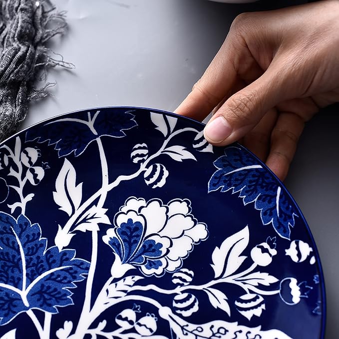 Wisenvoy Dinnerware Sets Plates and Bowls Sets Ceramic Plate Set Stoneware Dinnerware Set Dishes Set for 4